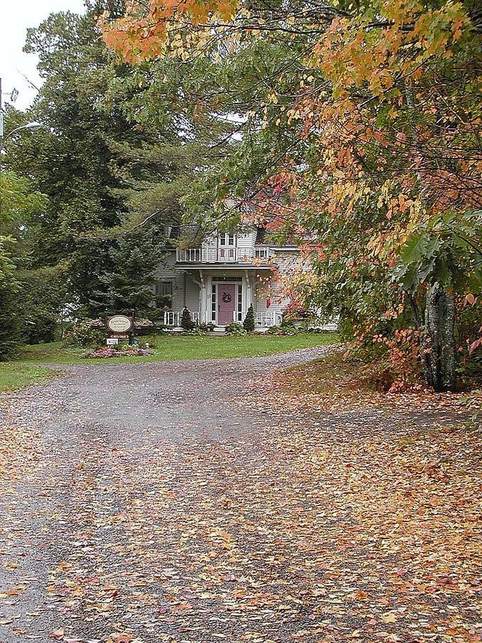 Briarwood Bed&Breakfast Elmsdale Exterior foto